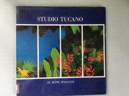 Studio Tucano By Beppe Spadacini　（宣伝用に作られた本？）