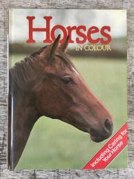 Horses in Colour