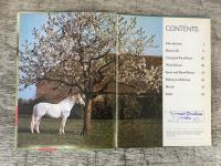 Horses in Colour