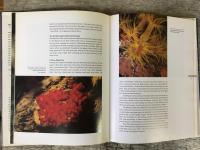 Underwater Paradice: A Guide to The World's Best Diving Sites through The Lenses of The Foremost Underwater Photographers