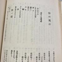 低学年学芸会　唱歌劇と対話劇