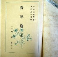 青年途上