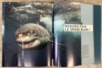 Le grand requin blanc : Du mythe a la realite