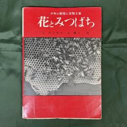 花とみつばち　少年の観察と実験文庫