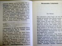  （独文）　Erz hlungen. Brennendes Geheimnis ：24 Stunden aus dem Leben einer Frau