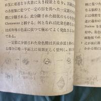 生物学概説