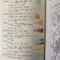 建築物法規概説
