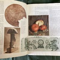 Encyclopaedia of Mushrooms