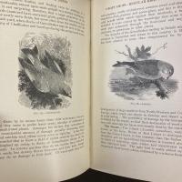 BEASTS AND BIRDS AS FARM PESTS