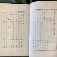 生長する星の群　第1年第2号