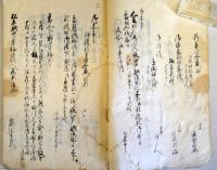 百姓徒党一件　嘉永二年三月写之
