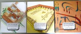 （伊文）SETTEFINESTRE UNA VILLA SCHIAVISTICA NELL'ETRURIA ROMANA　全３冊 (ローマ時代のエトルリアの奴隷の別荘）