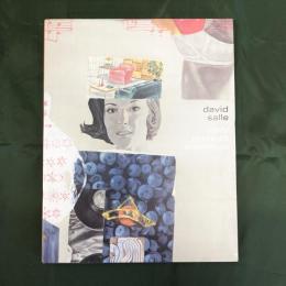david salle: early product paintings