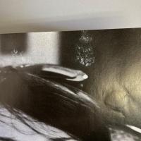BARBARA: N'avoir que sa verite　※難あり