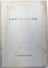 鉄鋼業における生産性 ＜海外調査資料＞