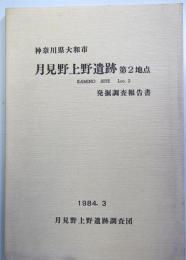 神奈川県大和市　月見野上野遺跡第2地点　発掘調査報告書