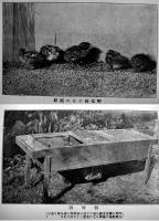 二十年実験鶉飼育法　赤木顕次/足澤勉著　B6判初版236p+巻頭写真版8p 背痛　博文館　大正7年