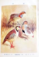 鷓鴣と鶉　間島謙一著　小鳥の飼ひ方叢書4　B6判初版カバ205p少朱線引 文化生活研究会　大正15年