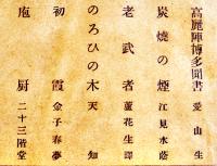 第八國民小説　山路愛山/江見水蔭/徳富蘆花/星野天地/金子春夢/二十三階堂　B6判初版311p　民友社　明治29年