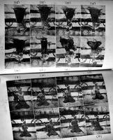 弓百講　東京毎夕新聞社弓道部編　小B6判箱　光文社　昭和3年