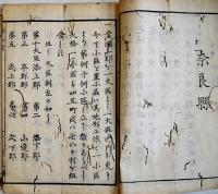 戸籍編制手順書　奈良県　23.5×16㎝木版刷り17丁　虫損多　明治5年