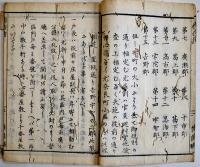 戸籍編制手順書　奈良県　23.5×16㎝木版刷り17丁　虫損多　明治5年