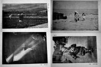 写真集報　B5判写真版200ｐ　大阪朝日新聞社　大正11年　