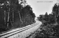 山田線区界松草間鉄道開通記念絵葉書　モノクロ写真版他5枚タトウ付　鉄道省森岡建設事務所　昭和5年