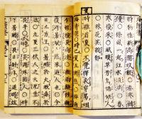 尺牘荃　千葉茂右衛門著/金峩先生閲/木煥卿子煥纂　小本全31丁　須原屋伊八蔵　天明6年　