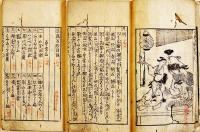 豆腐百珍(絵入本)　酔狂道人　22.7×13㎝ 全31丁少虫損　題箋欠　山崎金兵衛/藤屋善七/他刊　天明2年