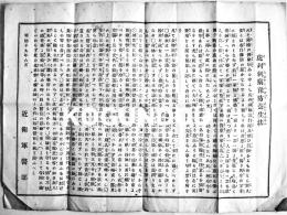 虎列刺病予防養生法(これらびやふふせぎよふじょふほふ) 近衛軍医部　32.5×24㎝片面印刷1枚刷り　明治19年