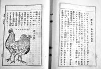 通俗農芸文庫・養鶏編　井上正賀著　A5判158p　経年汚れ痛み　博文館　明治44年