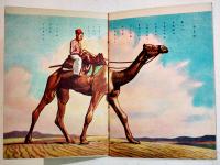 愛児絵本どうぶつ　表紙画・宇崎純一/作画・小山泰治　B5判全カラー12p並上本　清文堂書店　昭和25年