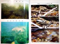 「淡水魚」No.12　宍道湖中海水化事業を告発する/他　B5判139p美本　(財)淡水魚保護協会機関誌　1986年