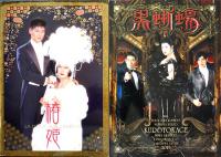 丸山明宏パンフレット16冊一括　毛皮のマリー/黒蜥蜴/椿姫/葵の上卒塔婆小町/他 各A4判全カラー美本　2003〜2016年