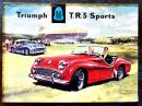 (英)Triumph T.R.3 Sports(トライアンフTR3)カタログ　拡げたサイズ55.5×40.5㎝ 折目セロテープ補修 1950年代