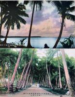 絵葉書　マーシャル群島風景　カラー写真版8枚組袋付美品　水谷商店　昭和15年