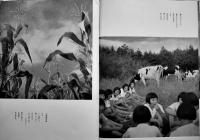 報道写真集　牛飼ふ小学校　福田勝治著/恩地孝四郎装幀　B5判109p初版カバ痛み　玄光社　昭和16年