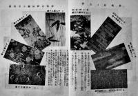 「みつこしタイムス」第8巻1号　表紙・杉浦非水　B5判写真版28p+本文42p(裏表紙欠)  非売  三越呉服店　明治43年