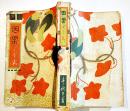 家庭悲劇小説因果どう志　豊秋生　B6判初版製本糸綴補修　中村日吉堂　大正5年