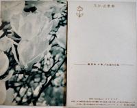 広告絵葉書　レート白粉　カラーイラスト(河野鷹思画)2枚+モノクロ写真版3枚各美品　戦前