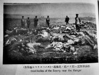 西伯利事変写真帖第貳篇　露領浦汐斯徳ホンタナヤ町田幸左衛門識　奥付欠　大正9年