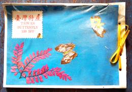 台湾特産実物蝶標本100種（TAIWAN BUTTERFLY 100SPE）無刊記