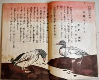 「大毎コドモ」第5巻2号　宇崎純一/高橋春佳/他画　A5判40p　大毎コドモ会　昭和11年