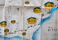 静岡縣柑橘生産分布図　多色片面印刷　54×39㎝　戦前