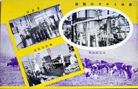 森永練乳株式会社絵葉書　多色写真印刷4枚美品　昭和11年