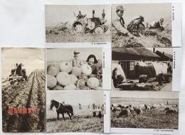 （満洲）開拓地絵葉書　モノクロ写真6枚組袋付き　満洲事情案内所発行　戦前