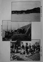 本場の柑橘　商標・写真入　非売　紀州有田柑橘同業組合　明治45年