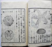 登高自卑（上/中/下本/下末・全4巻揃い）邨松良粛抄輯　絵入本　文林堂　明治7年