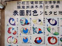 大判掛図　最新日常食品成分（附ビタミン）色別図表　赤木満洲雄編　半田屋医籍商店 明治頃